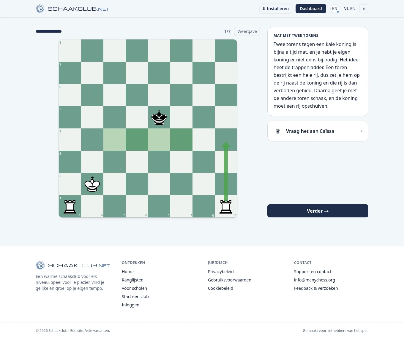 A chess trainer lesson on the board